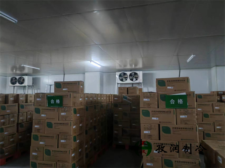 如何確保藥品冷庫(kù)溫濕度控制精度？ 